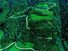 -梵净山旅游区