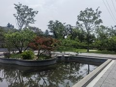 -雨花胜境
