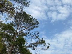 -广州市流溪河国家森林公园