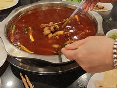 -冯记香辣兔火锅(茶店子总店)