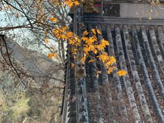 -潭柘寺景区