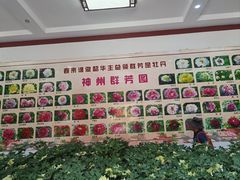 -神州牡丹园