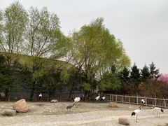-齐齐哈尔龙沙动植物园
