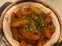 -丁老爷子苏香圆