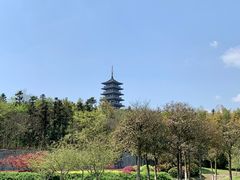 -宜兴龙背山森林公园