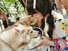 -TrueLove @ Neverland (Husky Cafe)