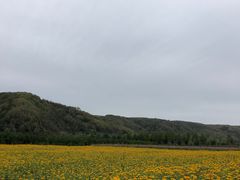 -南泥湾风景区