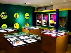 -上海昆虫博物馆