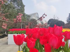 -南山植物园