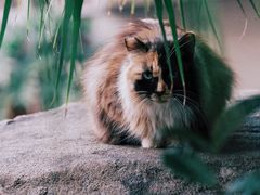 -晓港公园