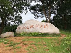 -鄱阳湖国家湿地公园