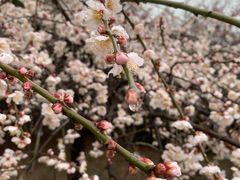 -白塘生态植物园