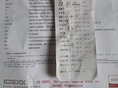 -伟伟宠物医院·CT影像中心·瑞派犬猫综合性门诊(汉口总院)