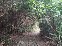 -鹅銮鼻公园