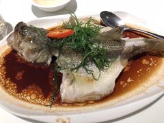 -至潮餐厅精致粤菜·活鲈鱼·走地鸡(珠江新城店)