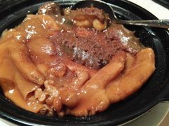 虾子烧酿辽参玉掌煲-陶陶居海鲜酒家(新马路店)
