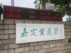 -嘉定紫藤园