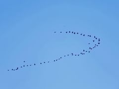 -龙舟池