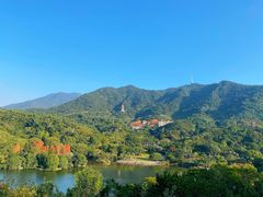 -深圳仙湖植物园