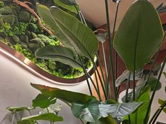 -云海肴汽锅鸡·云南小炒(曲江大悦城店)