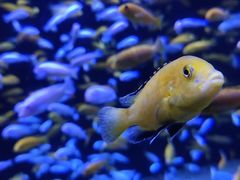 -成都浩海立方海洋公园