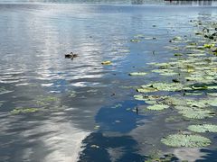 -长春市南湖公园