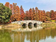 -中国科学院华南植物园