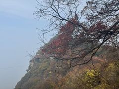 -少华山国家森林公园