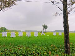-嘉北郊野公园