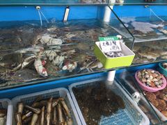 -港畔赶海蒸汽海鲜烧烤自助(仙螺岛店)