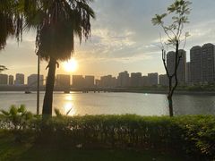 -五缘湾湿地公园