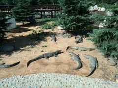 -石家庄市动物园