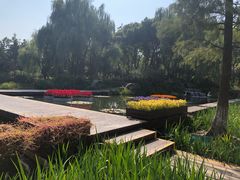 -圩墩遗址公园
