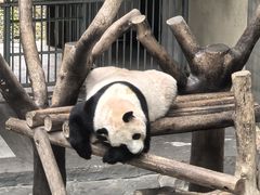 -天目湖御水温泉·度假酒店