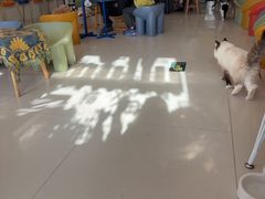 -平行世界·猫咖(首经贸店)