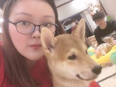 -逗柴咖啡屋·狗咖猫咖宠物桌游