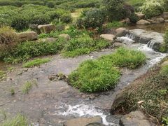-中国茶叶博物馆(双峰馆区)