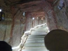 -中国西峡恐龙遗迹园