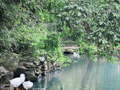 -兰亭风景区
