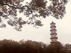 -江心屿景区