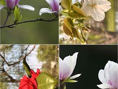 -花亭湖风景名胜区