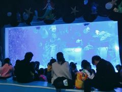 -台州海洋世界