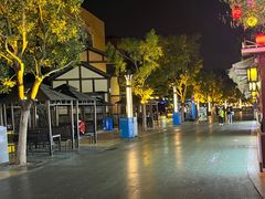 -青岛方特梦幻王国