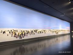 -罗红摄影艺术馆