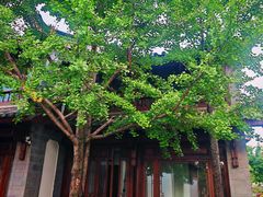 -时光吧·大堂吧·丽江和府洲际度假酒店