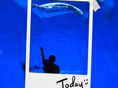 -芜湖新华联大白鲸海洋公园