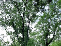 -深圳野生动物园