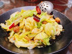 油渣圆白菜-望京一号(菜户营店)