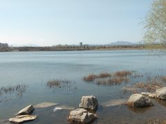 -绿堤公园