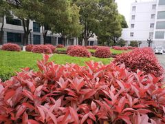-南京航空航天大学(明故宫校区)